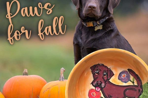 Fall for Your Furry Friend: Whimsical Ways to Celebrate Autumn with Your Pet
