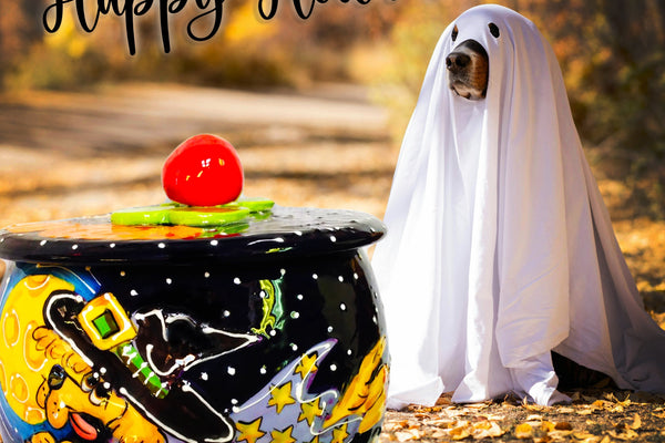 Paws-itively Perfect Pad: Styling Your Home for You & Your Pet