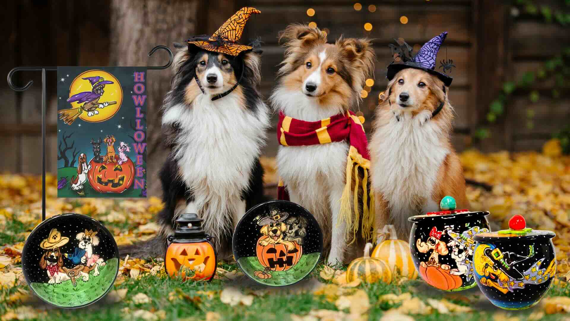 Howl-O-Ween Magic: Celebrate Halloween with Whimsical Pet Décor and Spooky-Sweet Surprises