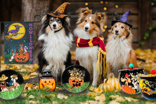 Howl-O-Ween Magic: Celebrate Halloween with Whimsical Pet Décor and Spooky-Sweet Surprises