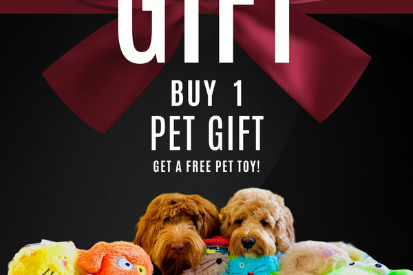 Moxie’s Magical Haul: How One Pup Discovered the Joy of FauxPaw