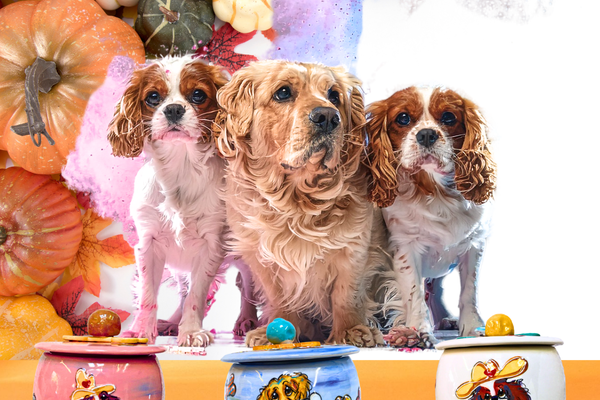🎨 Whiskers, Wags & Wonder: A Pet Lover’s Guide to Thanksgiving Joy