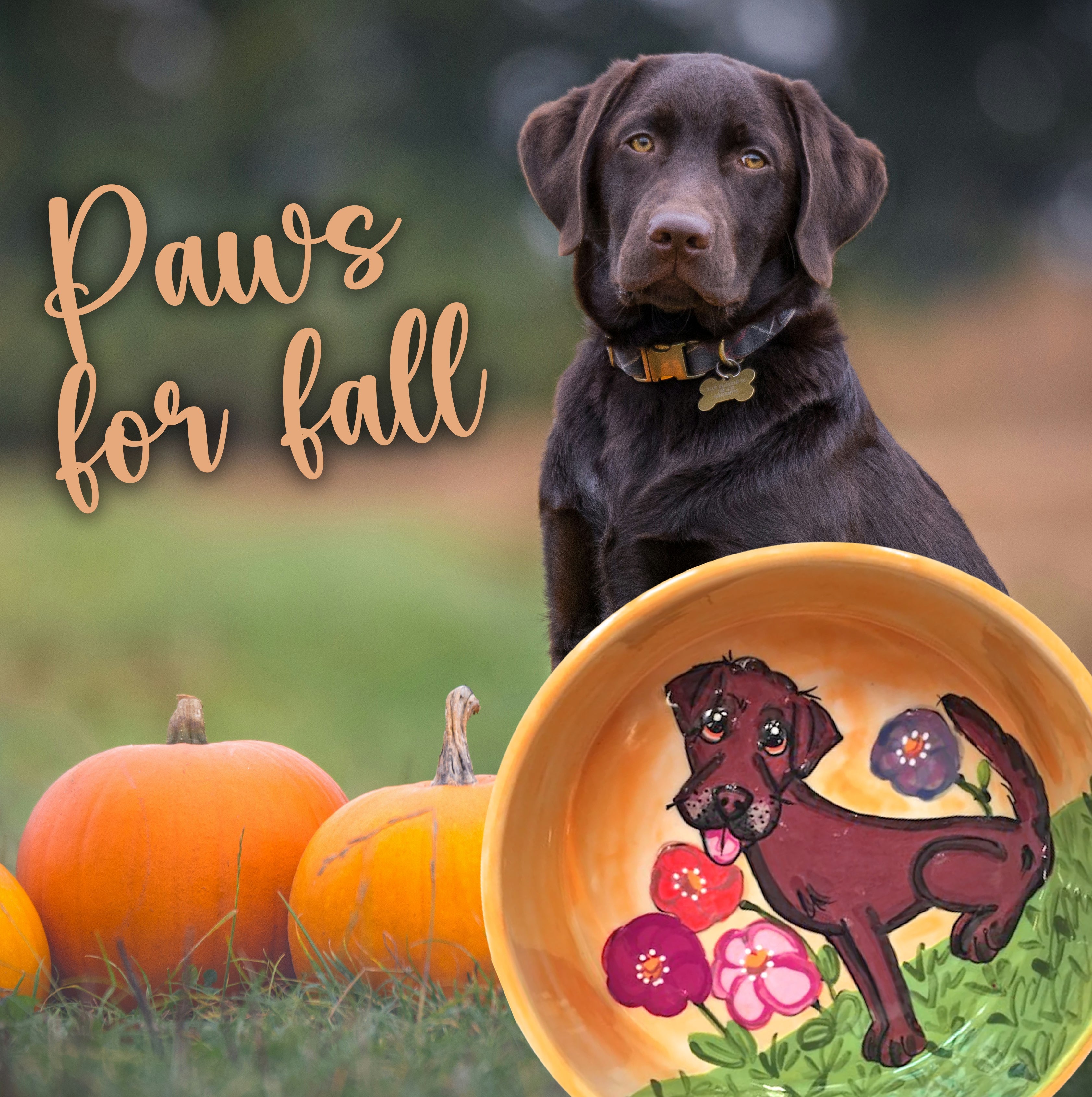 Pets In The Fall Fall Fun for Pets: Whimsical Autumn Activities & Gifts | Faux Paw ...