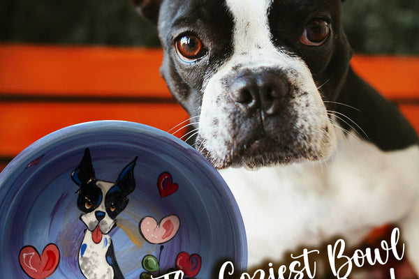 Howl-oween Home! 5 Ways to Conjure Whimsical Fall Magic with Your Pet