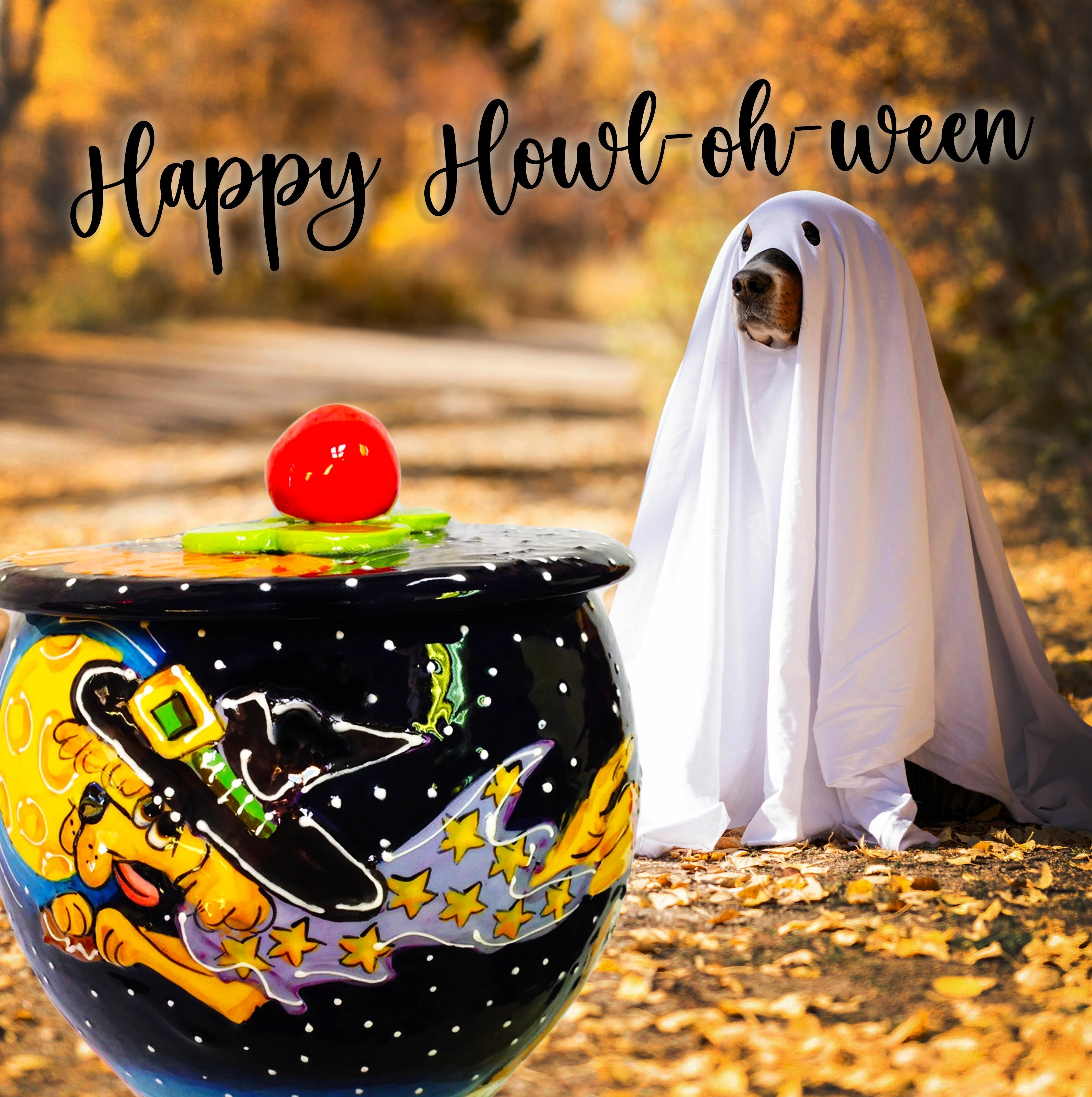 Paws-itively Perfect Pad: Styling Your Home for You & Your Pet