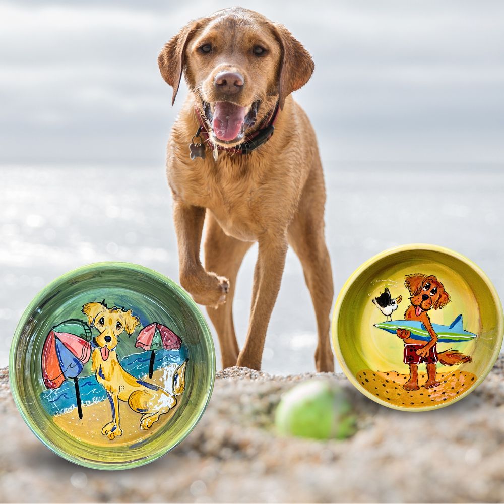 Pet Bowls in All Sizes