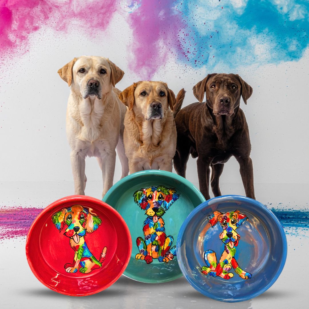 Rainbow Palz™ Ceramics