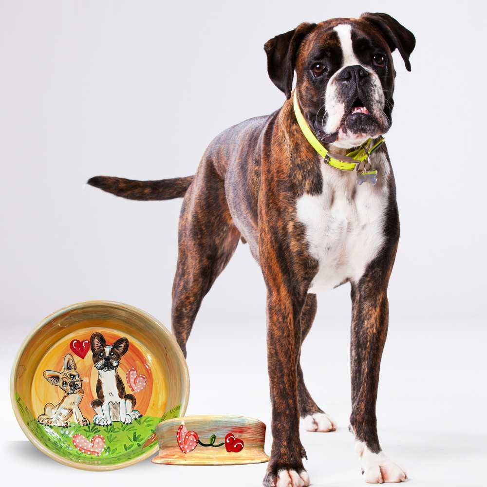 *Custom Dog Bowls