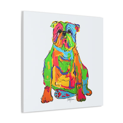 Rainbow Bulldog