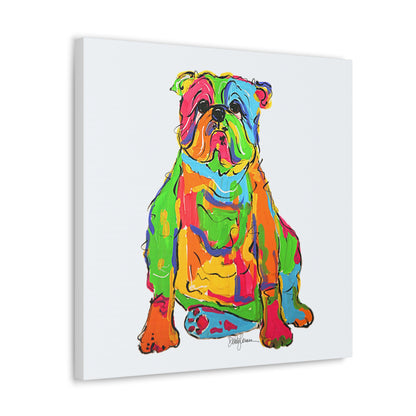 Rainbow Bulldog