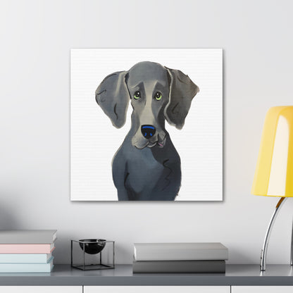 &quot;Derp Face&quot; Weimaraner Painting