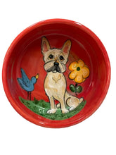 French Bulldog Bowl in the garden with a birdie