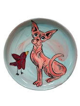 Hairless cat dish with birdie
