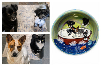 The boat full of pets bowl