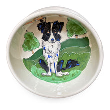 Border Collie Bowl in the meadow