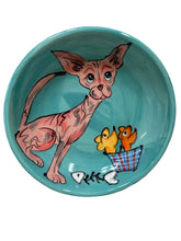 Hairless cat dish with birdie
