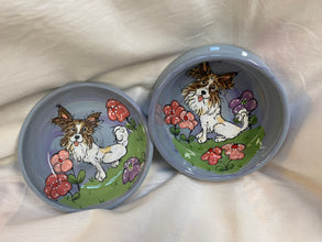 Papillon flowers