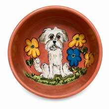 Maltese Dog in the garden  Bowl
