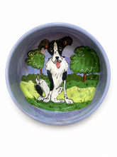 Border Collie Bowl in the meadow