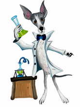 Greyhound Detective