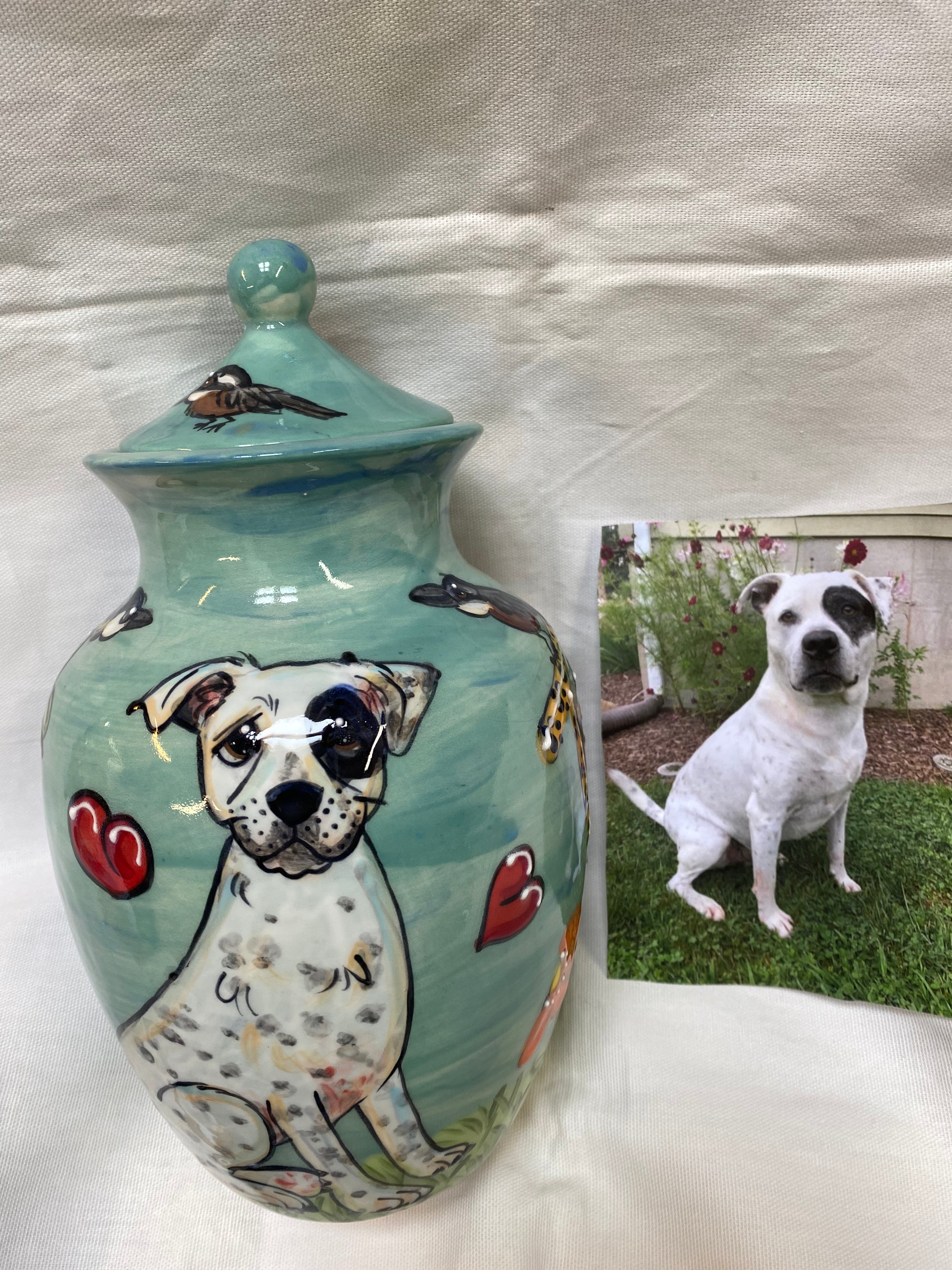 American Staffordshire Terrier