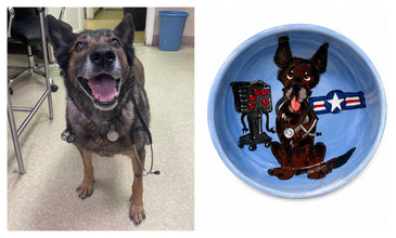 German Shepherd K-9 Mega Doctor