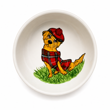 Cockapoo Scottish style