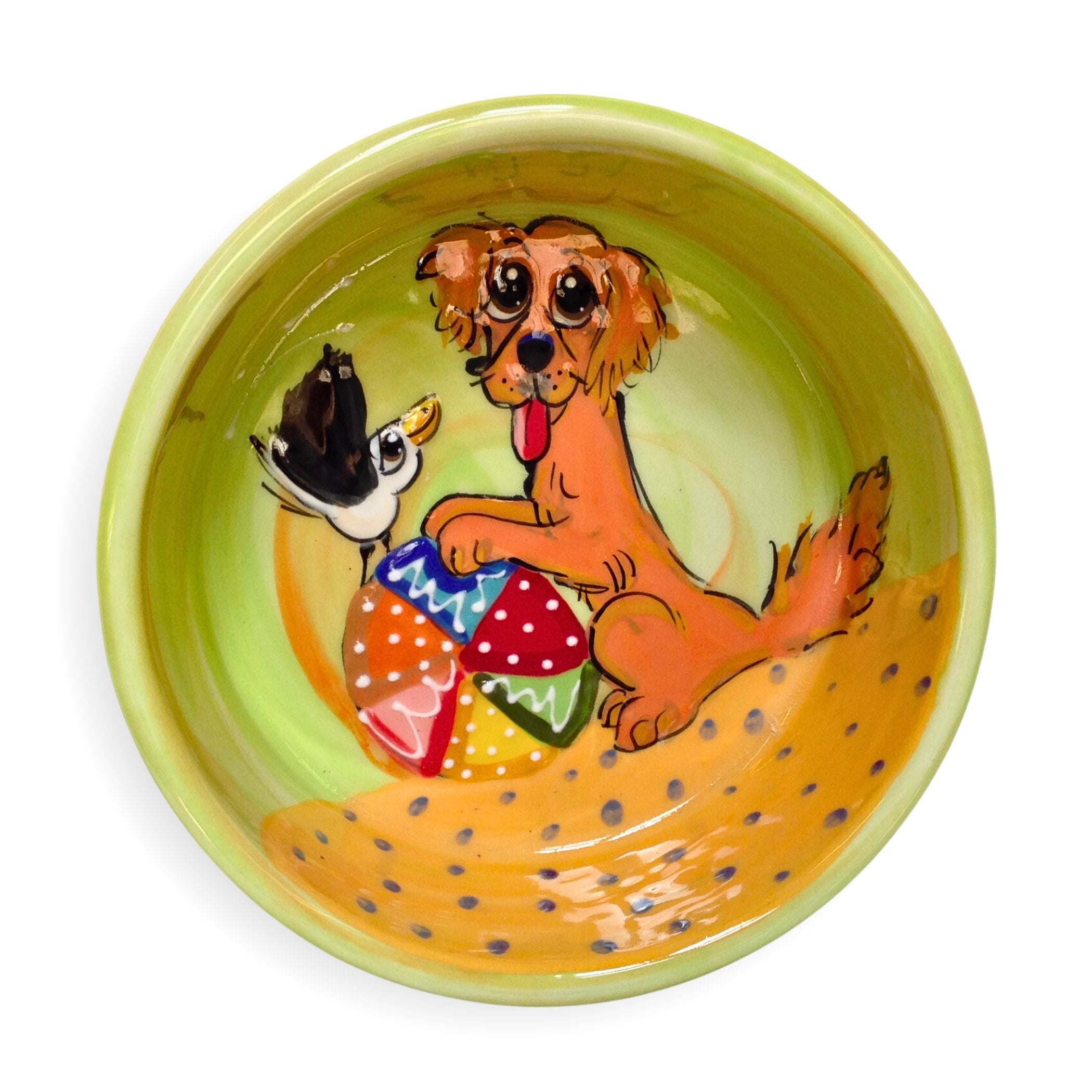 A golden retriever and a bird are perched on a vibrant green food bowl, while a beach ball lies nearby