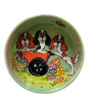 King Charles Cavalier Dog Bowl 3 in the garden