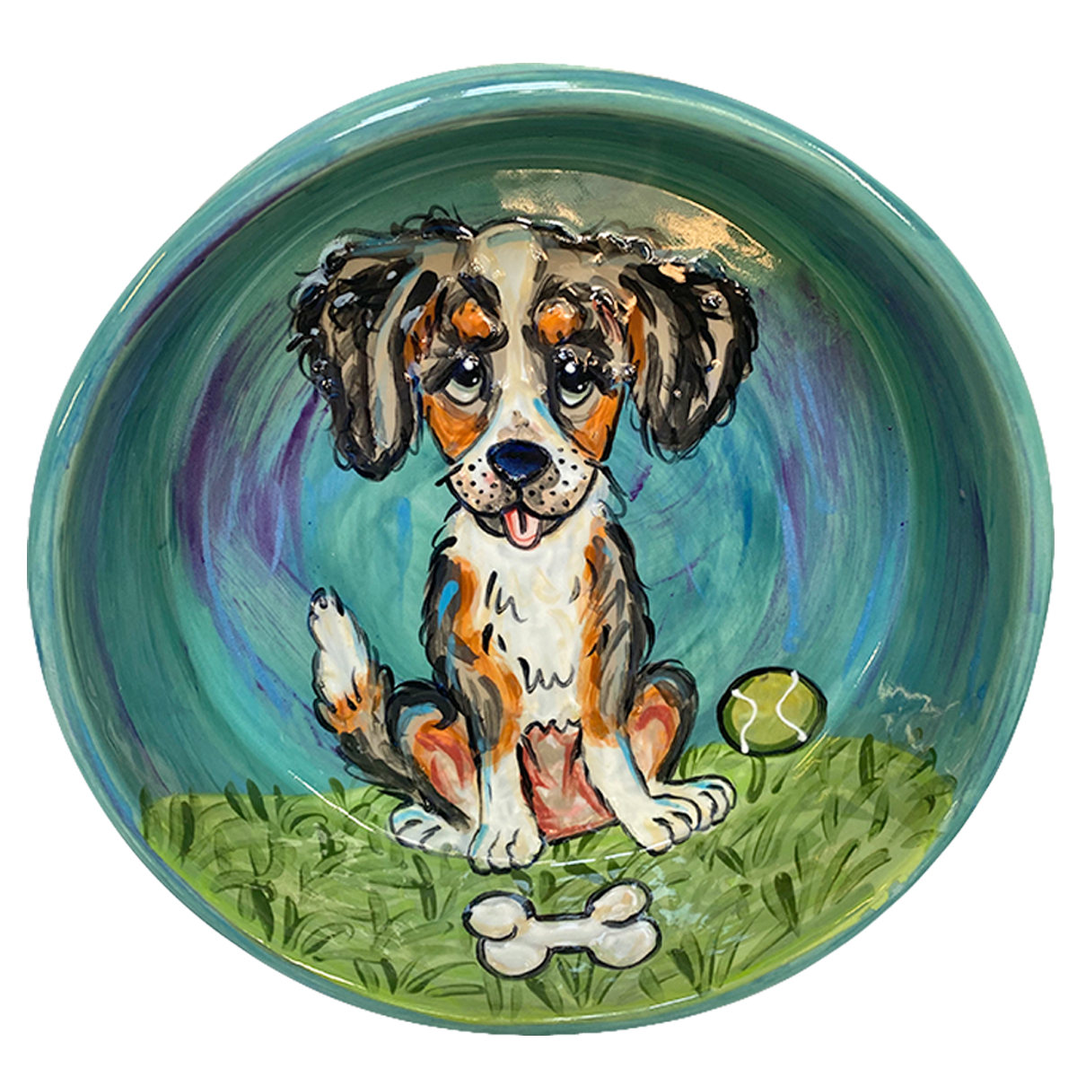 Australian Shepherd Mini