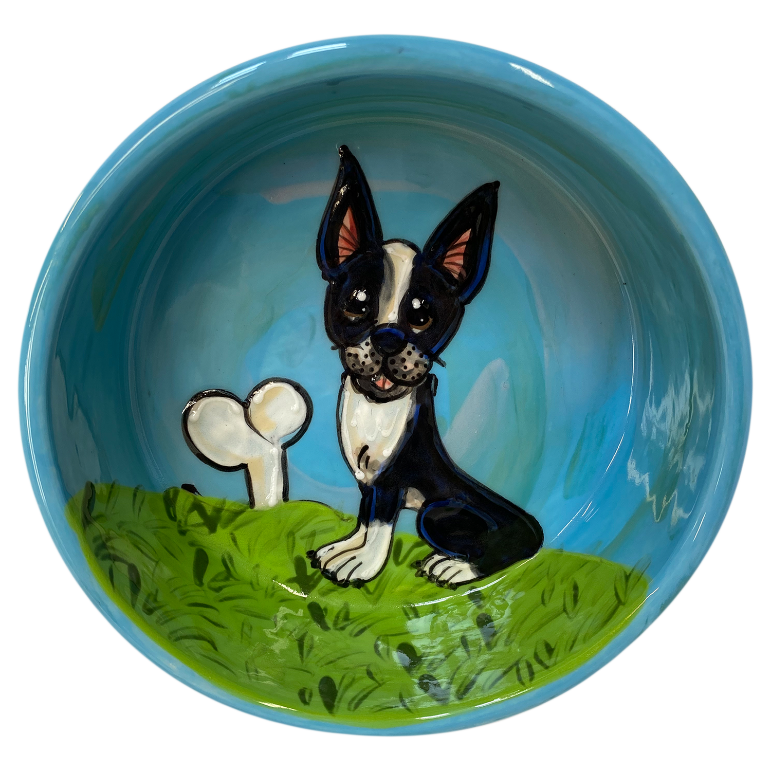 Boston Terrier