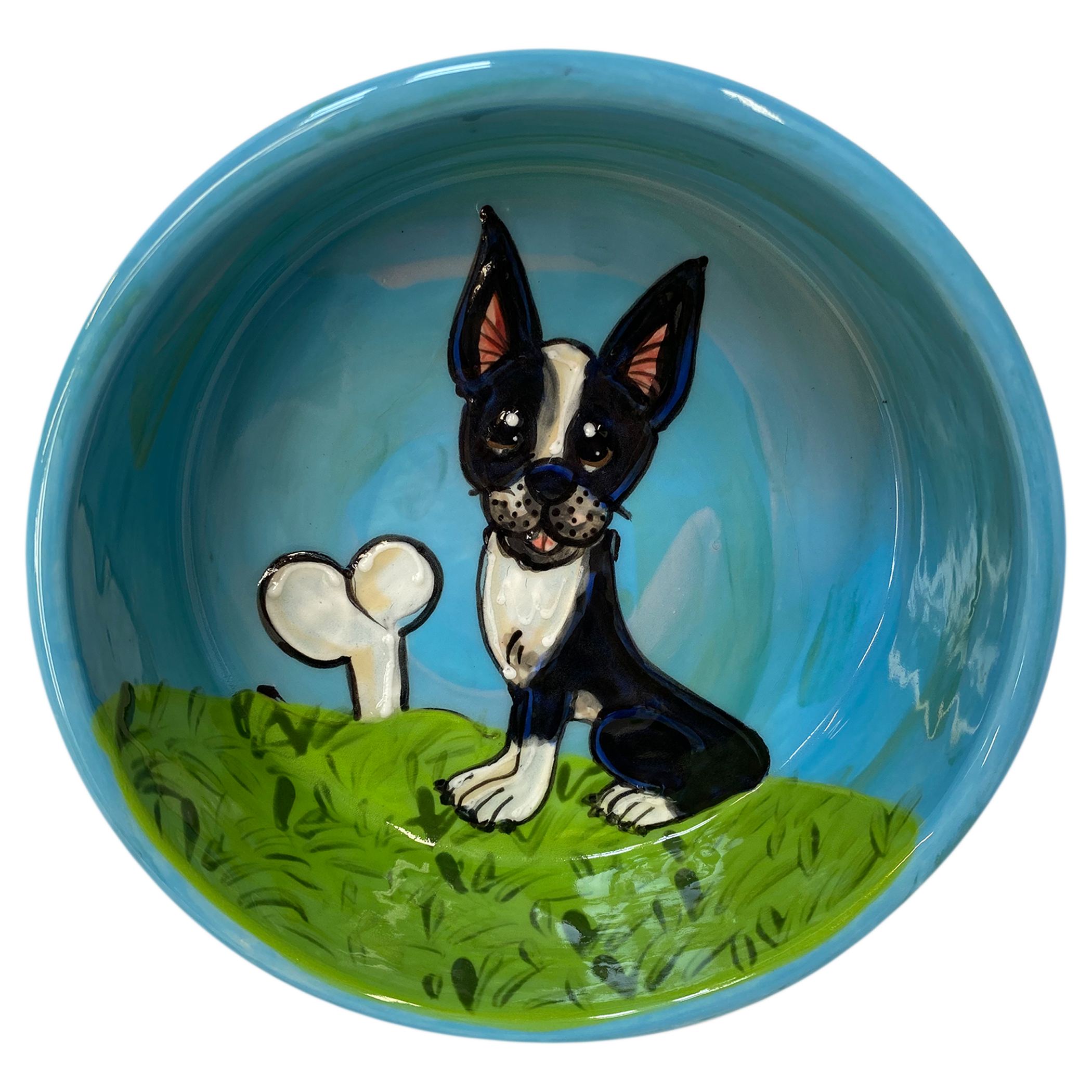 Boston Terrier