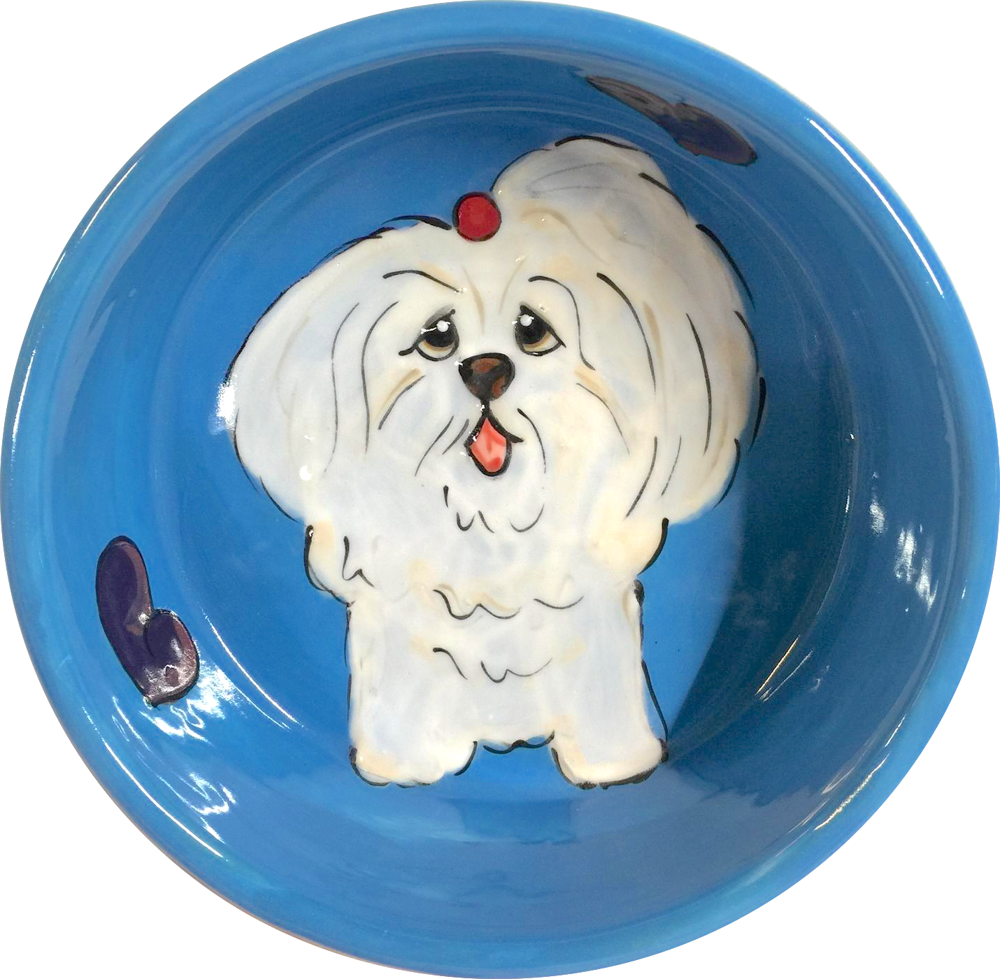 Oh Your Blue-jee Coton de Tulear