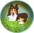 Collie Dog Bowl / Teal / Collie in Garden / Pet Bow Design / Ceramic / Debby Carman / Faux Paw Petique / Large Dog Bowl / Dog Gift / Collie Gift / Handmade gifts