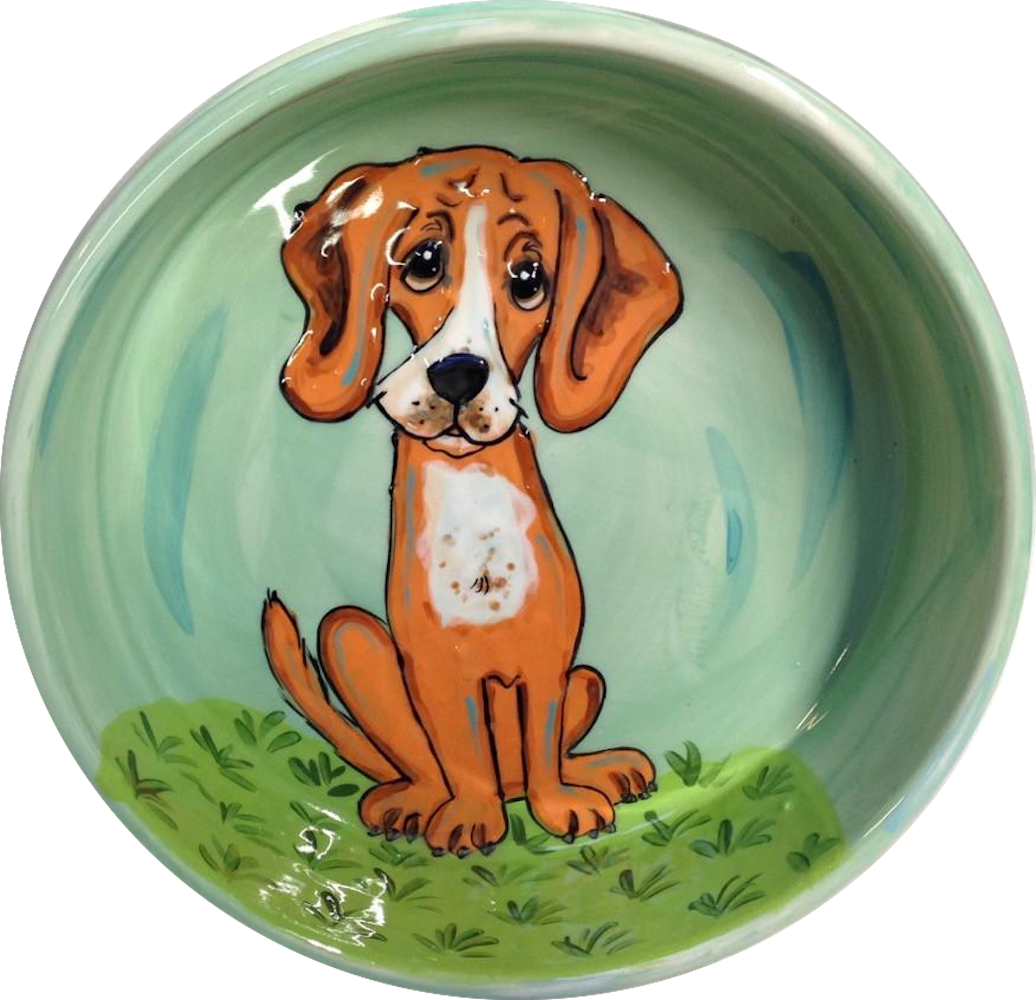 Dog Bowl