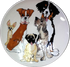 Dog Platter Trophy Art