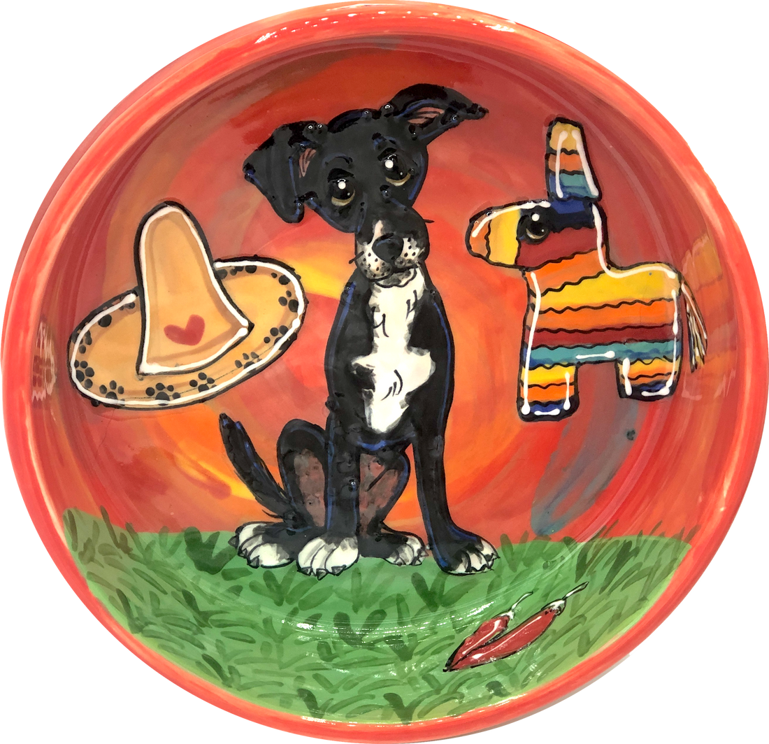 South of the Border | Dog Bowl