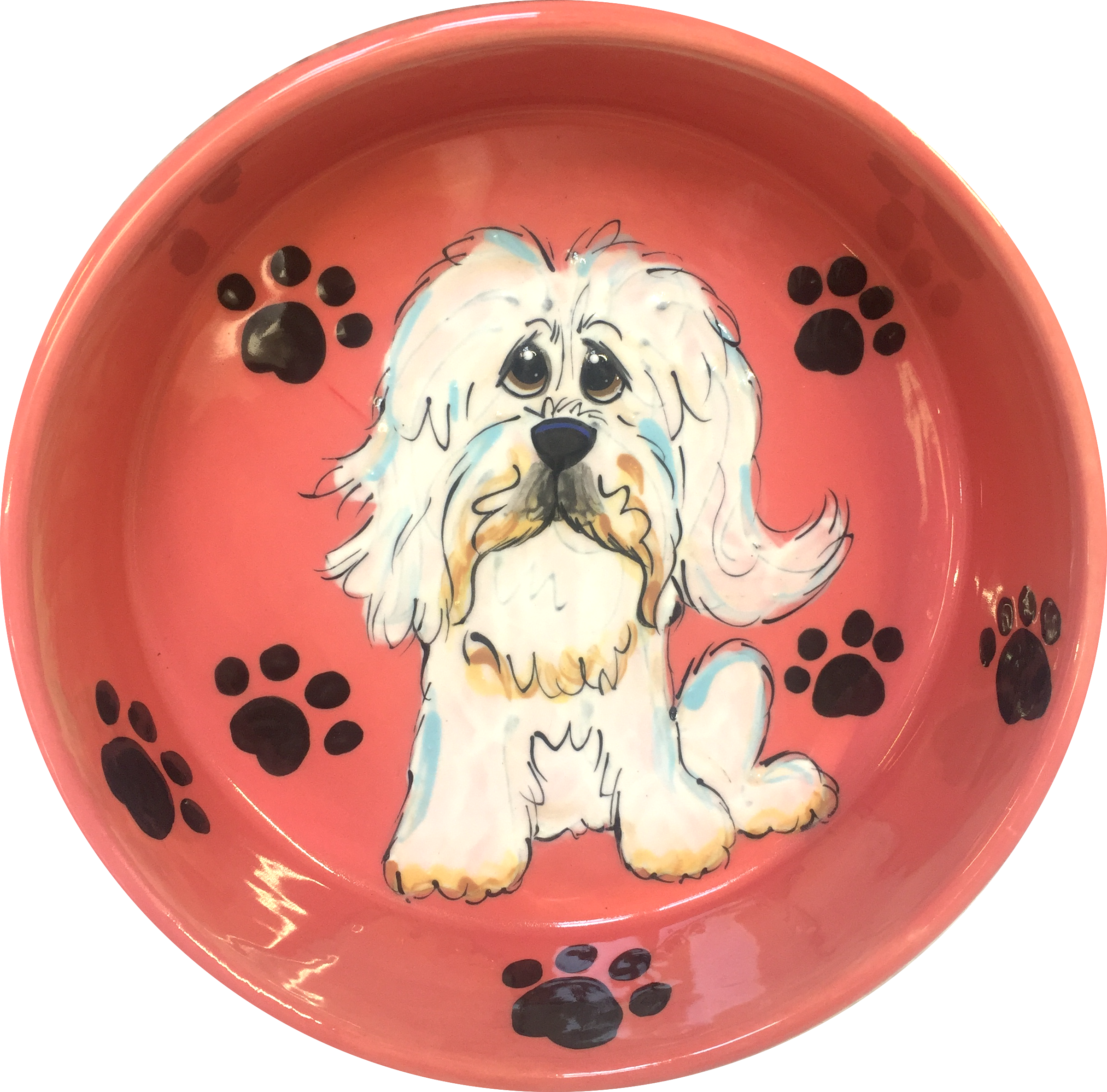 Havanese Paw Prints