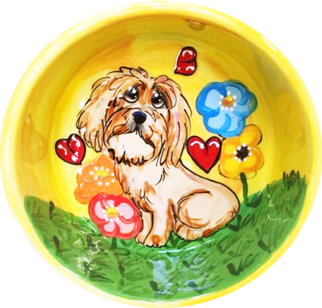 Havanese Dog Bowl