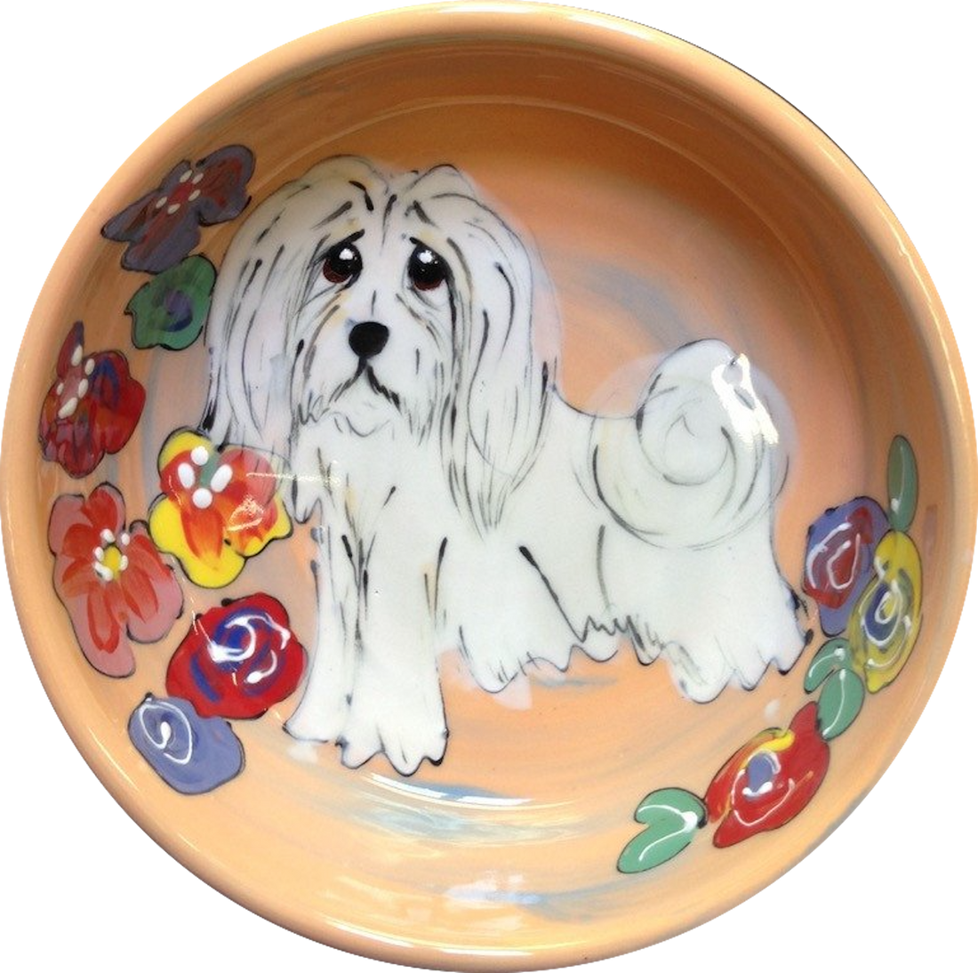 Havanese Dog Bowl