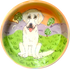 Photo of Ceramic Dog Bowl with white Labrador in grassy field, pet portraits by Debby Carman 