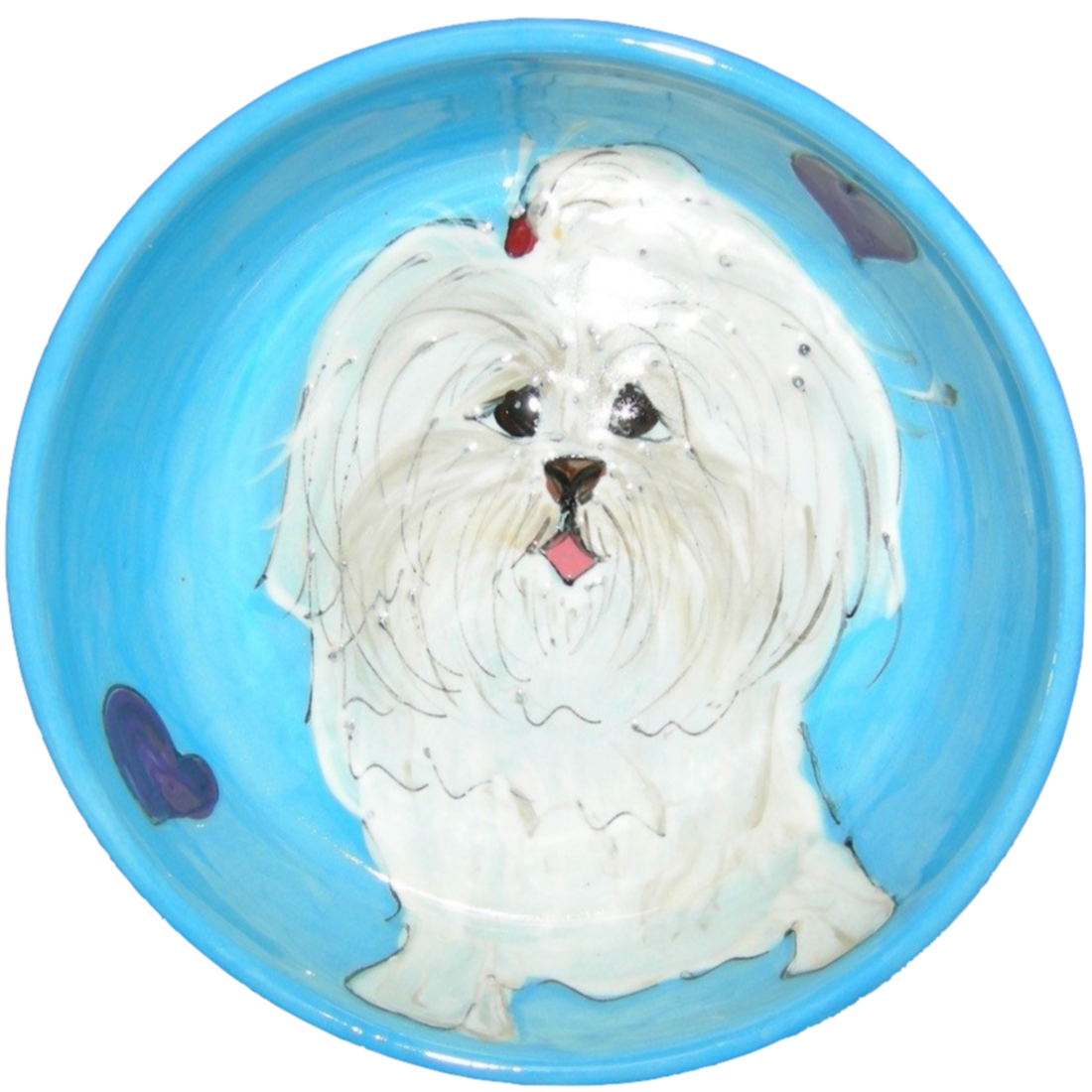 Coton de Tulear | Dog Bowl