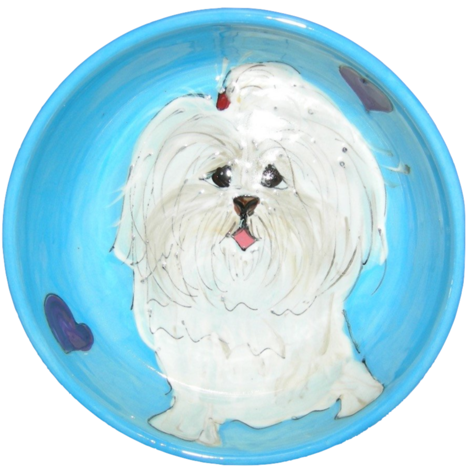 Coton de Tulear | Dog Bowl