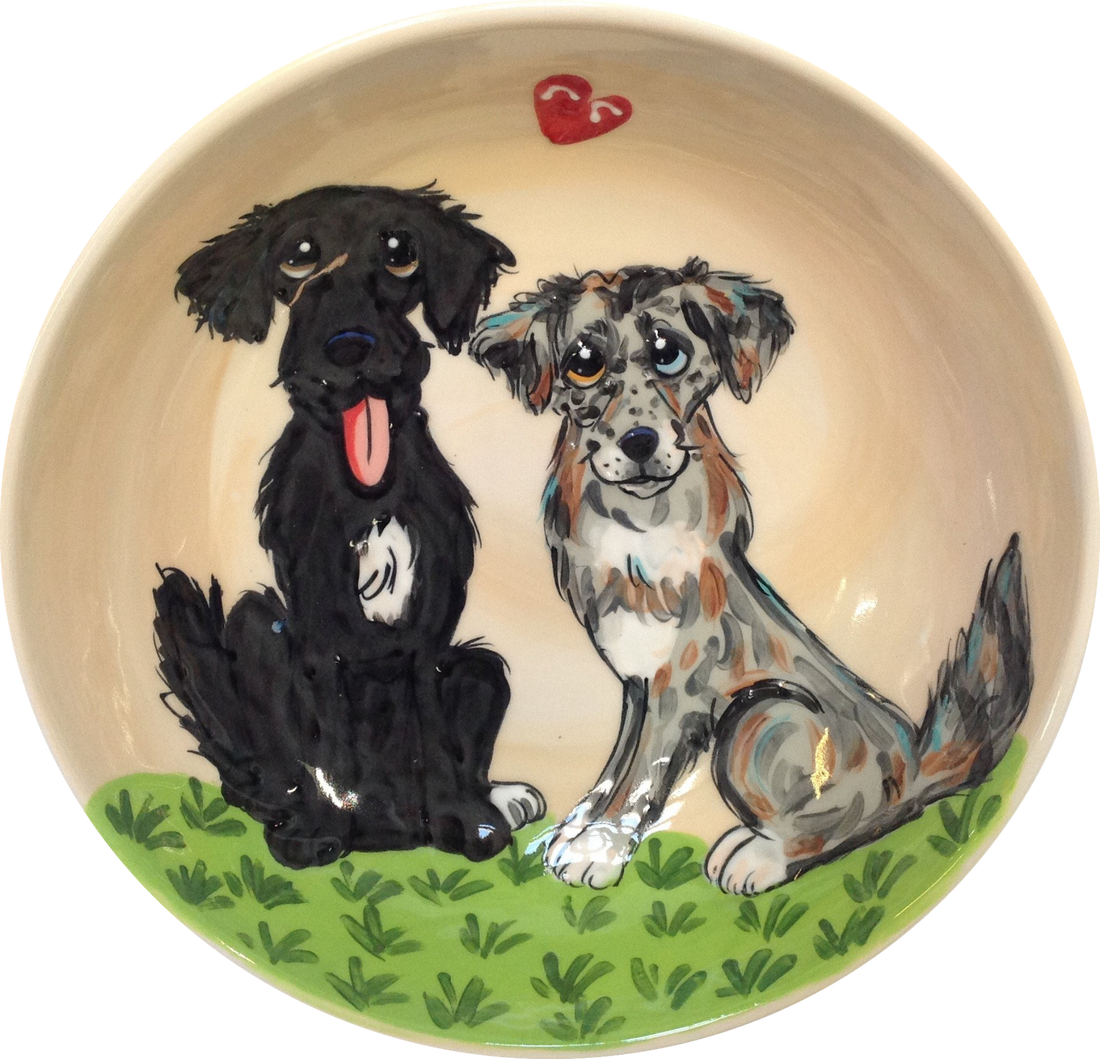 Australian shepherd dog bowl