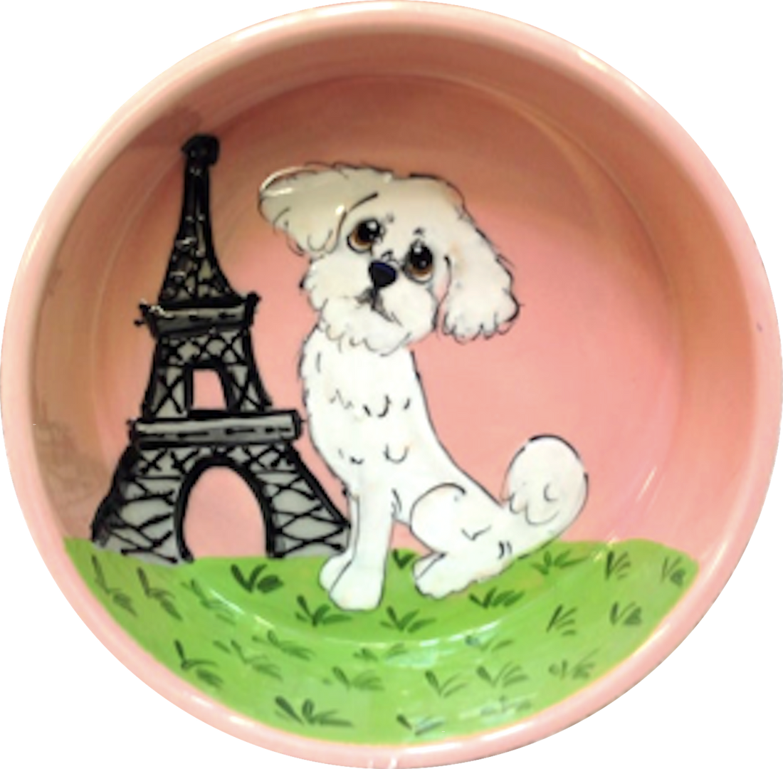 photo of Maltese dog in Paris on ceramic dog bowl by Debby Carman, faux paw petique 