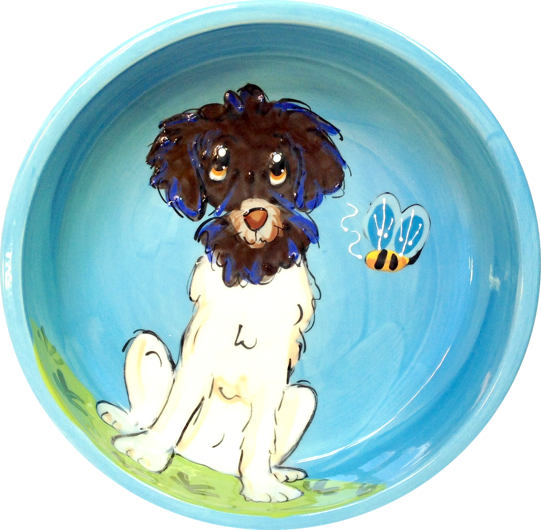 Portuguese Water Dog