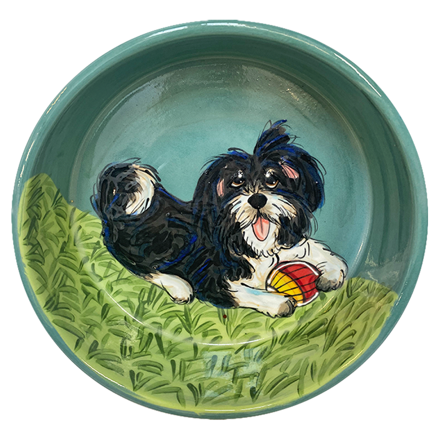 Shih Tzu