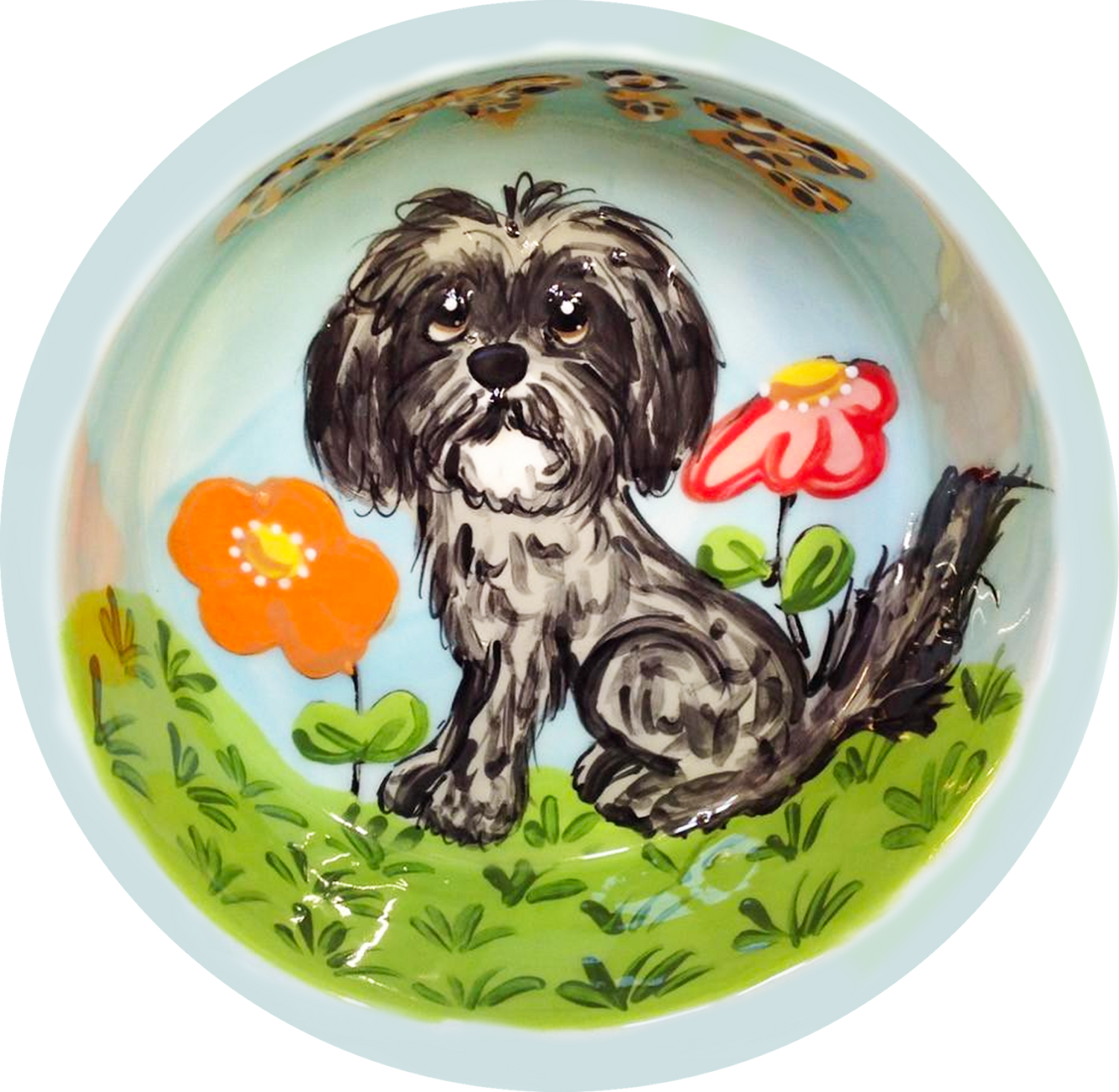 Shih Tzu