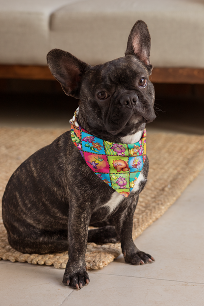 Canoodle Dee Doodle Bandana