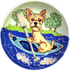 Yorkie in a kayak hand painted by Debby Carman on ceramic best design dog bowl